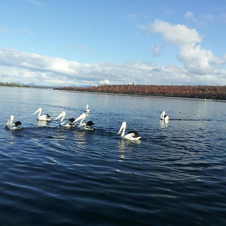 Pelican Point Sanctuary St Helens Eksteriør bilde