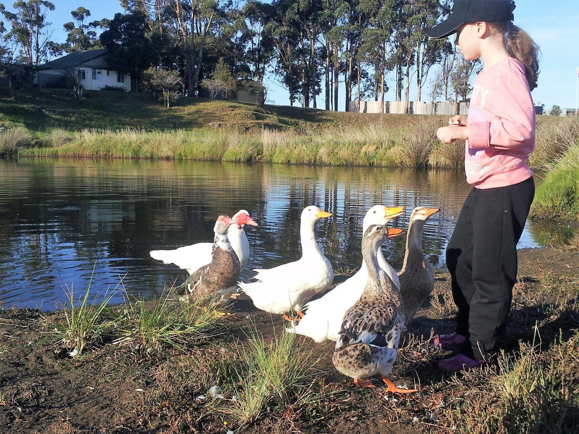 Pelican Point Sanctuary St Helens Eksteriør bilde